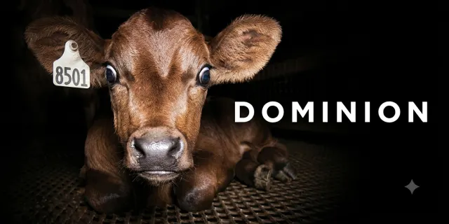 Capa do documentário Dominion